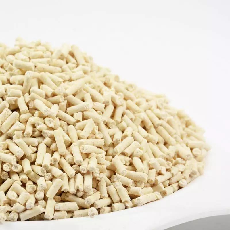 你绝对不知的「垃圾分类」技巧（宠物篇）