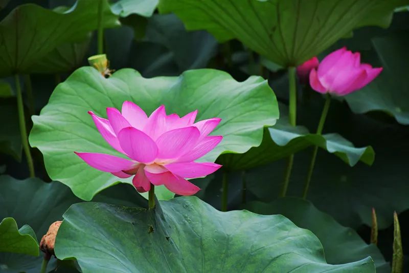 快！信都区准备好了，来嗨~