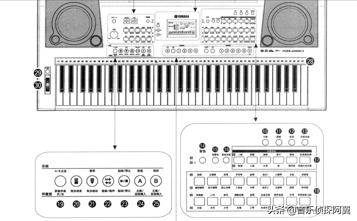 智能61键电子琴入门零基础教程,电子琴教学入门零基础小兔子乖乖
