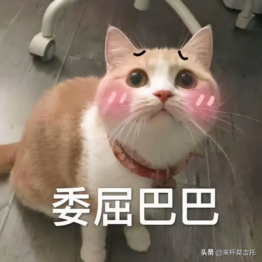 初学吉他如何找基础,新手学习吉他第一步应该干什么