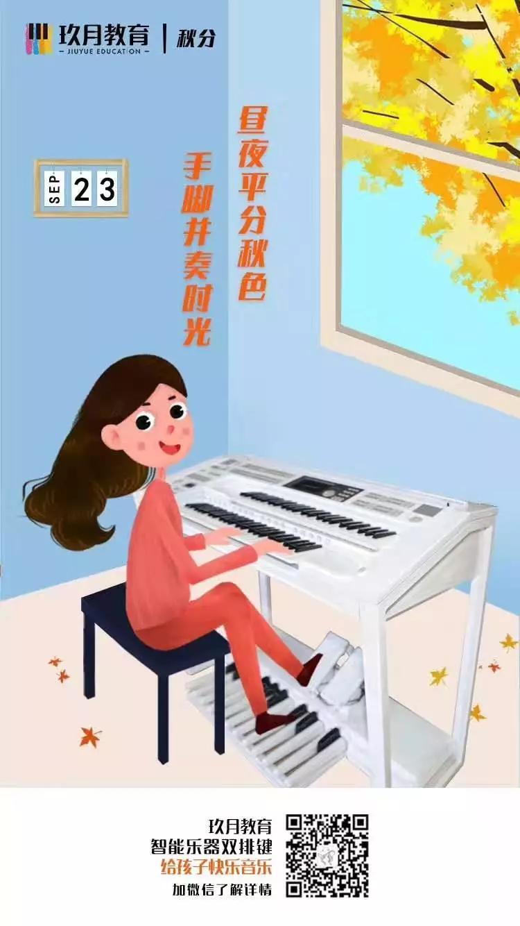 键盘乐器双排键,双排键乐器效果