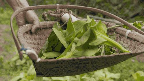 疫情结束房子会降价吗,疫情结束后又发生了什么事