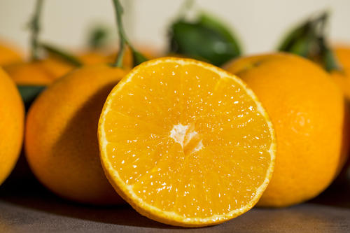 在网上哪里买水果比较靠谱,网上买水果靠谱