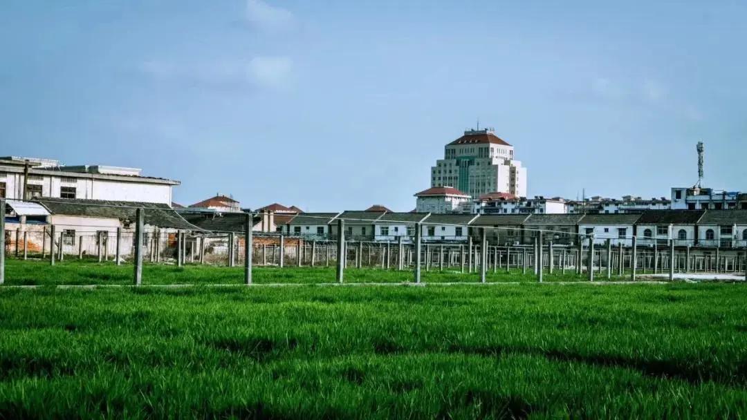 「江苏专转本校区专题介绍」扬州大学荷花池校区