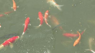 休闲娱乐健身地方,休闲娱乐健身的地方叫什么