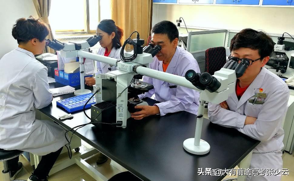 春季高考医学专业报考条件,2019医学类专业分数线