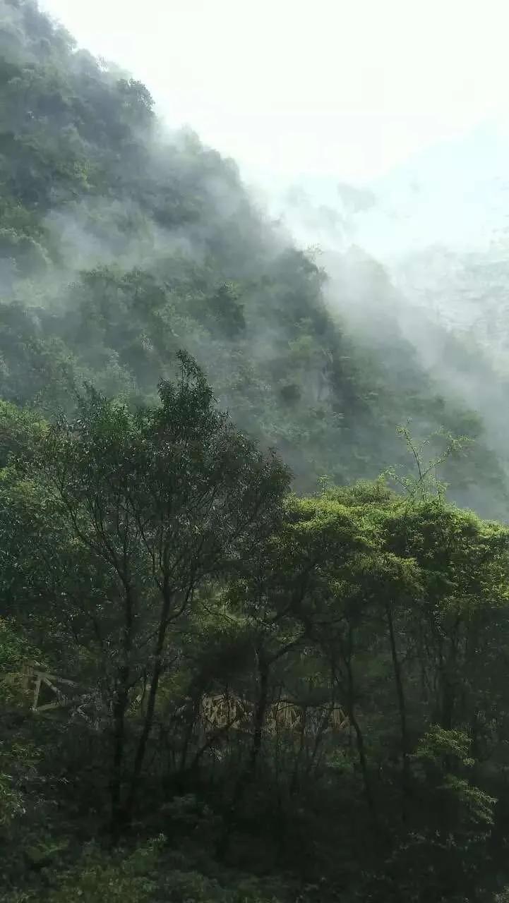 又到八一,又到建军节
