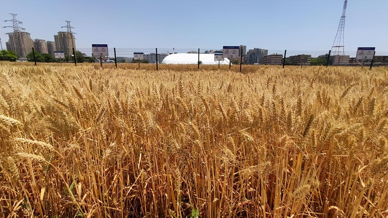 中国农科院研究生招生目录2021,2023年农大硕士研究生招生简章