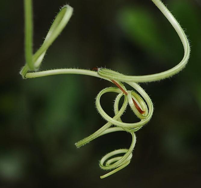 念什么咒语会改变运气,念什么咒语能让你运气变好