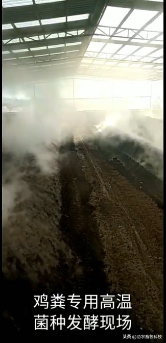 养鸡场鸡粪环保处理方法,养鸡场鸡粪污染治理设施