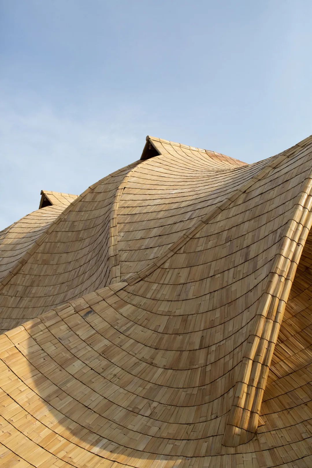 bamboo绔瑰瓙,bamboo绔规湪