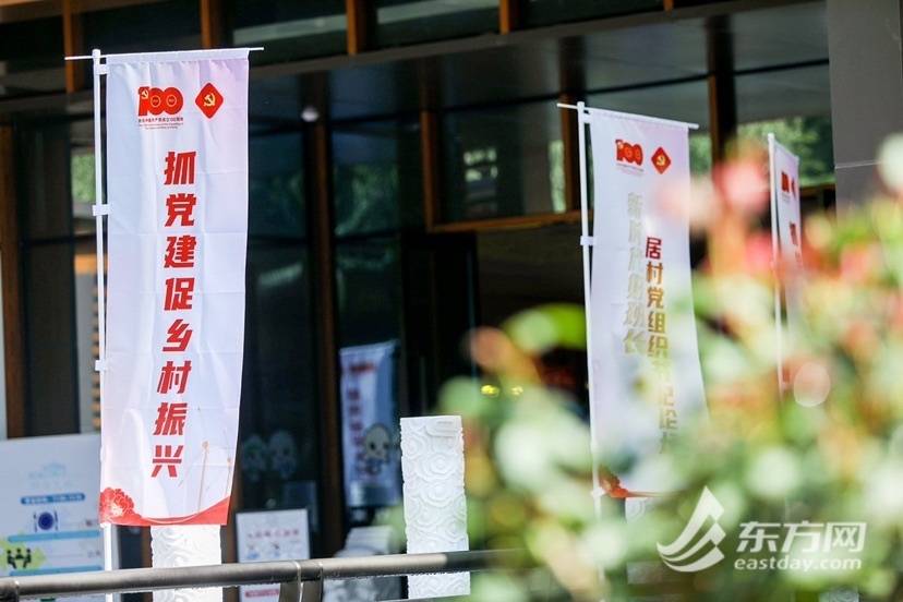 上海在农村当村官工资高吗,在上海当一名医生是什么体验