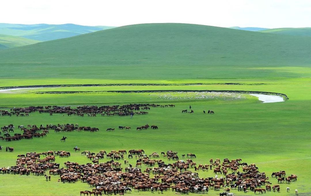 中国面积最大的城市排名前十名,中国城市科研实力排名