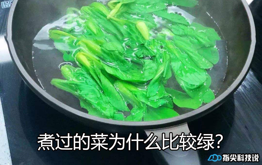 青菜煮变绿,青菜怎么煮才能变绿