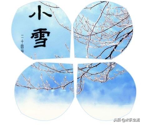 感恩节幼儿护蛋小知识,感恩节的相关知识