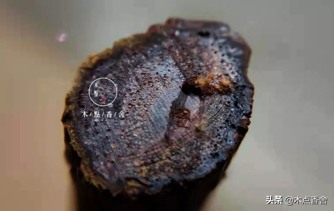 降真香的炮制方法,降真香炮制