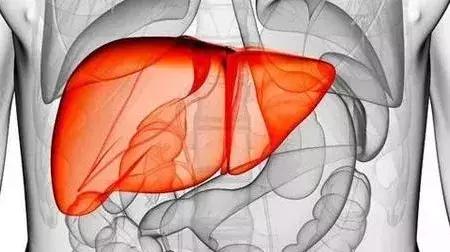 体检查出脂肪肝转氨酶100算不算高,体检查出脂肪肝影响录取吗