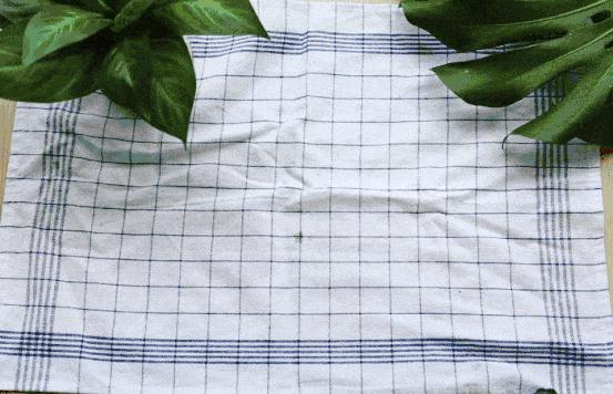 樱桃蜂蜜的功效与作用,樱桃和蜂蜜可以一起吃吗