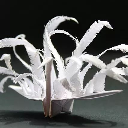 1000天1000只纸鹤,他折的纸鹤让自己走出抑郁……