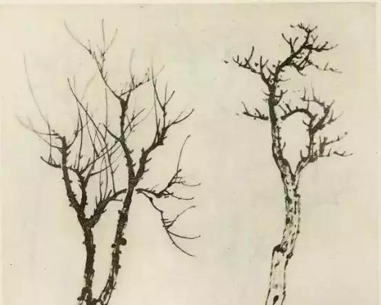 怎么画树最简单而且还最好看,怎么画树才更真实