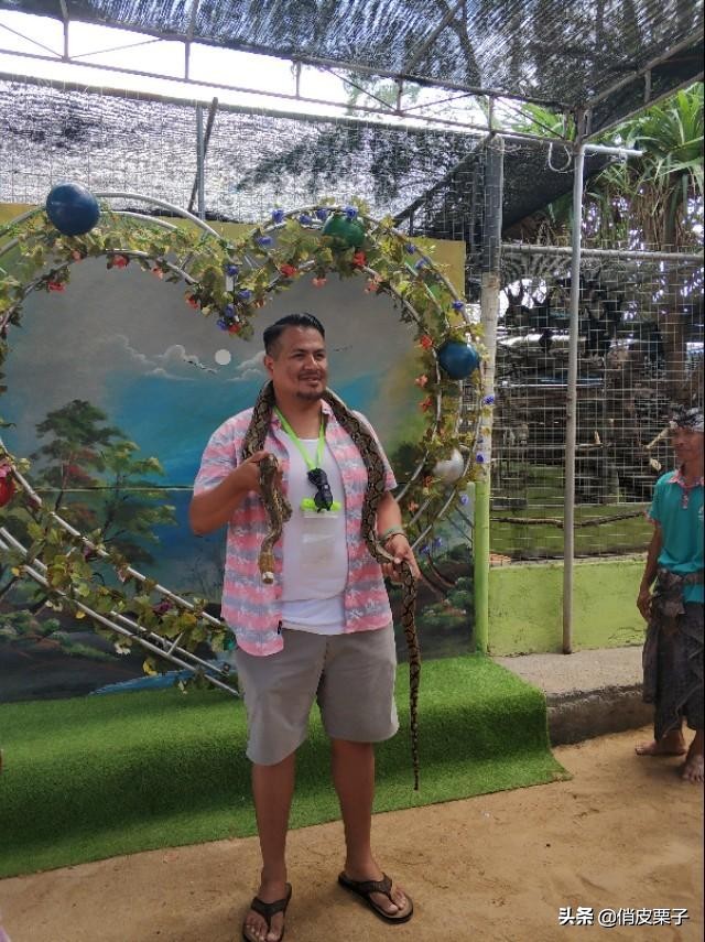 巴厘岛游记400字,巴厘岛游记作文