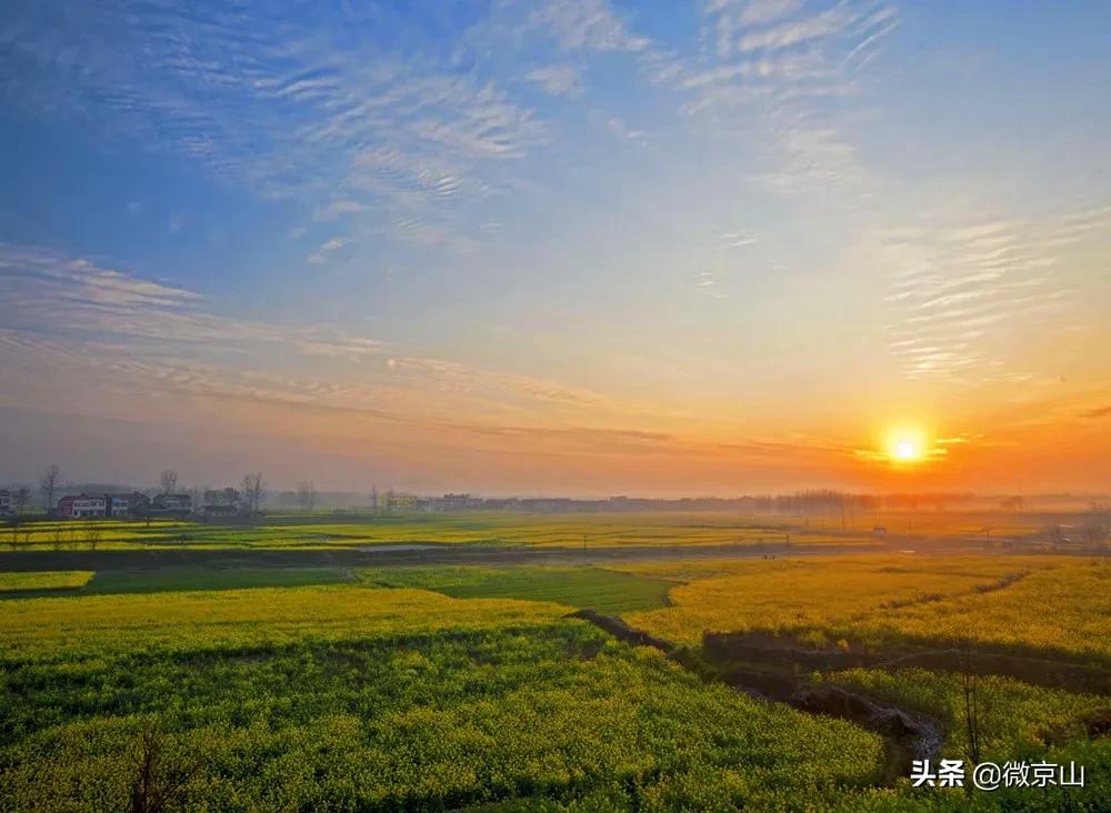 李金彪散文,京山市李金彪