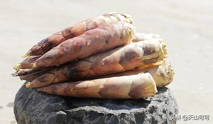 竹笋焯过水可以用盐腌制吗,竹笋要煮一下再炒吗