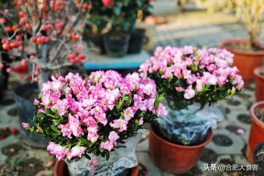 <html>
<head><title>502BadGateway</title></head>
<body>
<center><h1>502BadGateway</h1></center>
<hr><center>nginx</center>
</body>
</html>
<!--apaddingtodisableMSIEandChromefriendlyerrorpage-->
<!--apaddingtodisableMSIEandChromefriendlyerrorpage-->
<!--apaddingtodisableMSIEandChromefriendlyerrorpage-->
<!--apaddingtodisableMSIEandChromefriendlyerrorpage-->
<!--apaddingtodisableMSIEandChromefriendlyerrorpage-->
<!--apaddingtodisableMSIEandChromefriendlyerrorpage-->
