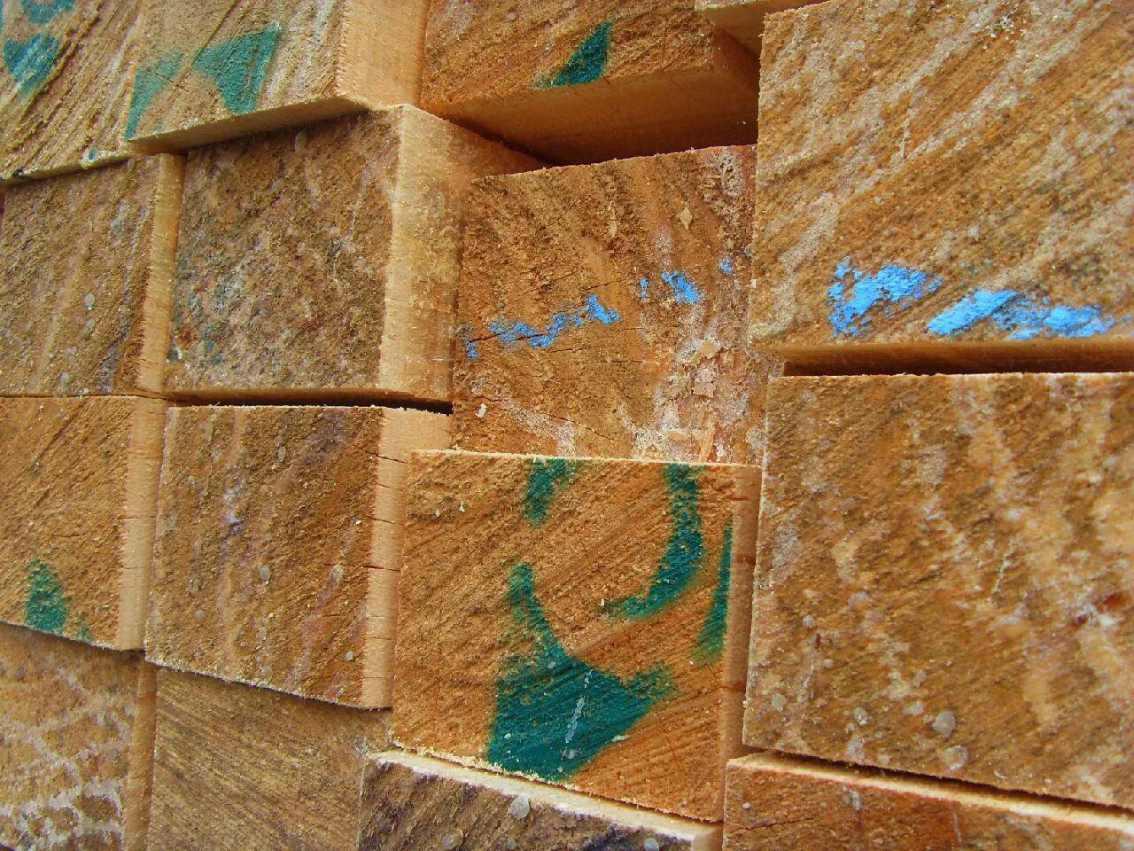 辐射松建筑木方厂家,辐射松建筑木方价格