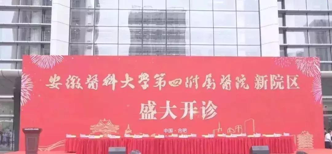 新站未来的潜力板块在哪里,新站发展最新消息