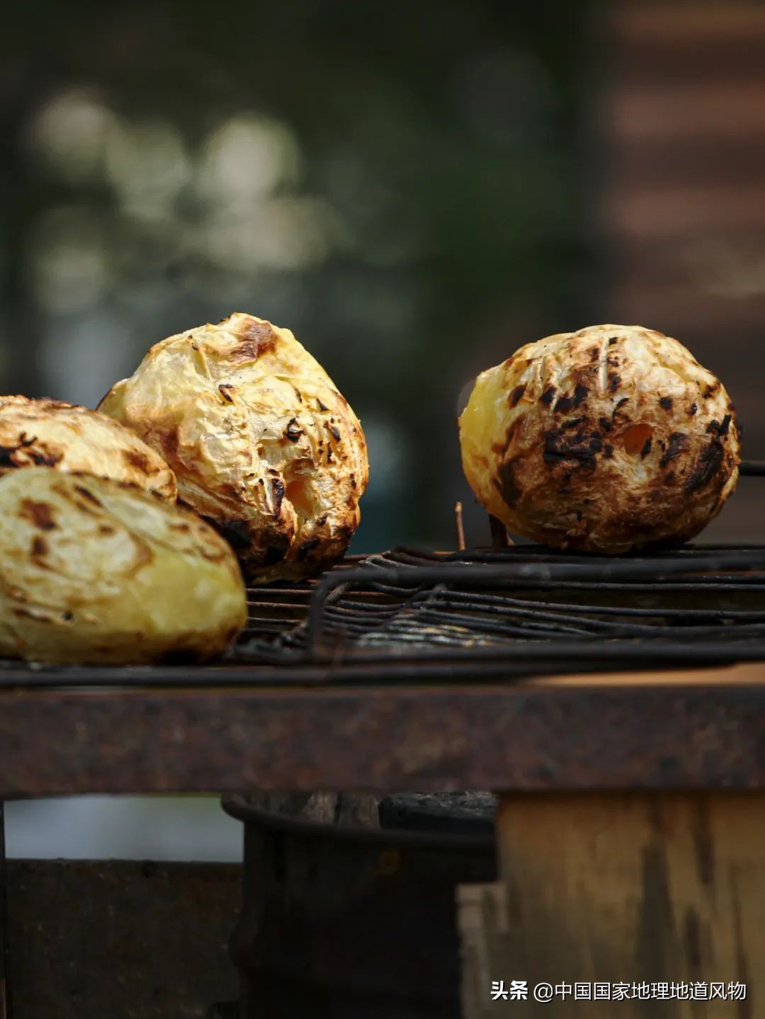 甘肃人的土豆,甘肃人的寿命长吗