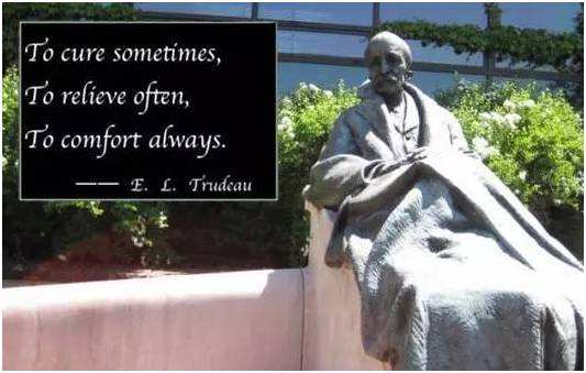 如何认识一头牛,认识一头牛的方法