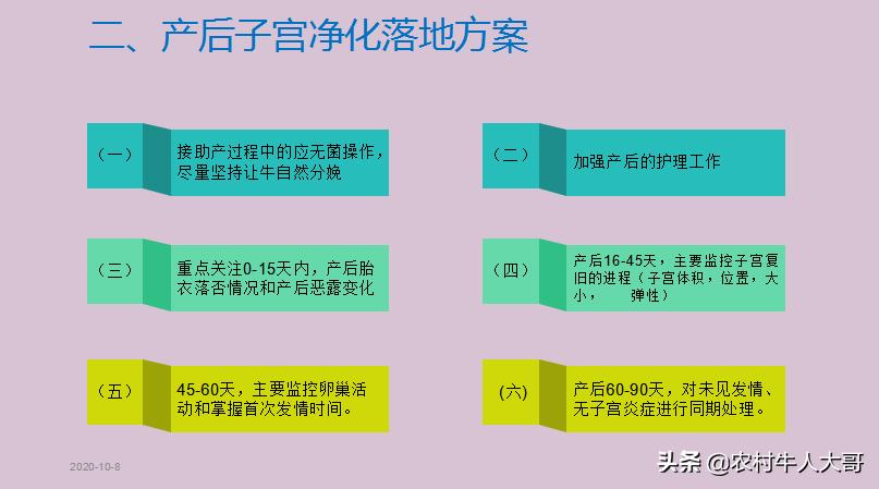 奶牛产后子宫净化保健实施方案ppT课件