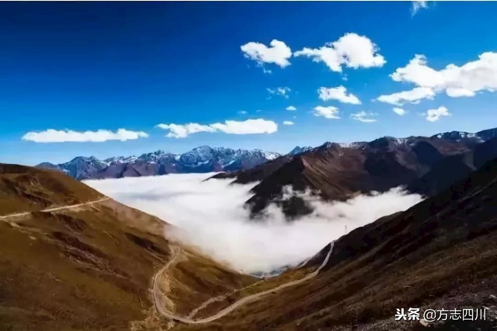 四川改革开放的案例,四川的改革开放成绩