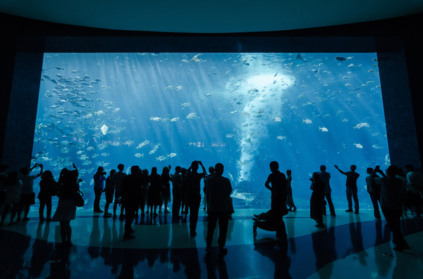 三亚位置好的酒店,三亚位置好公寓