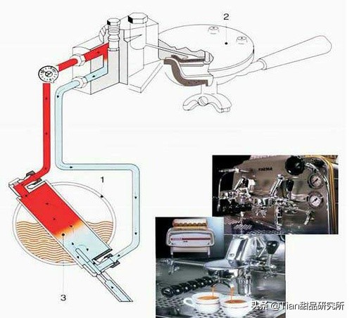 关于咖啡的误区,谈论茶与咖啡的小对话