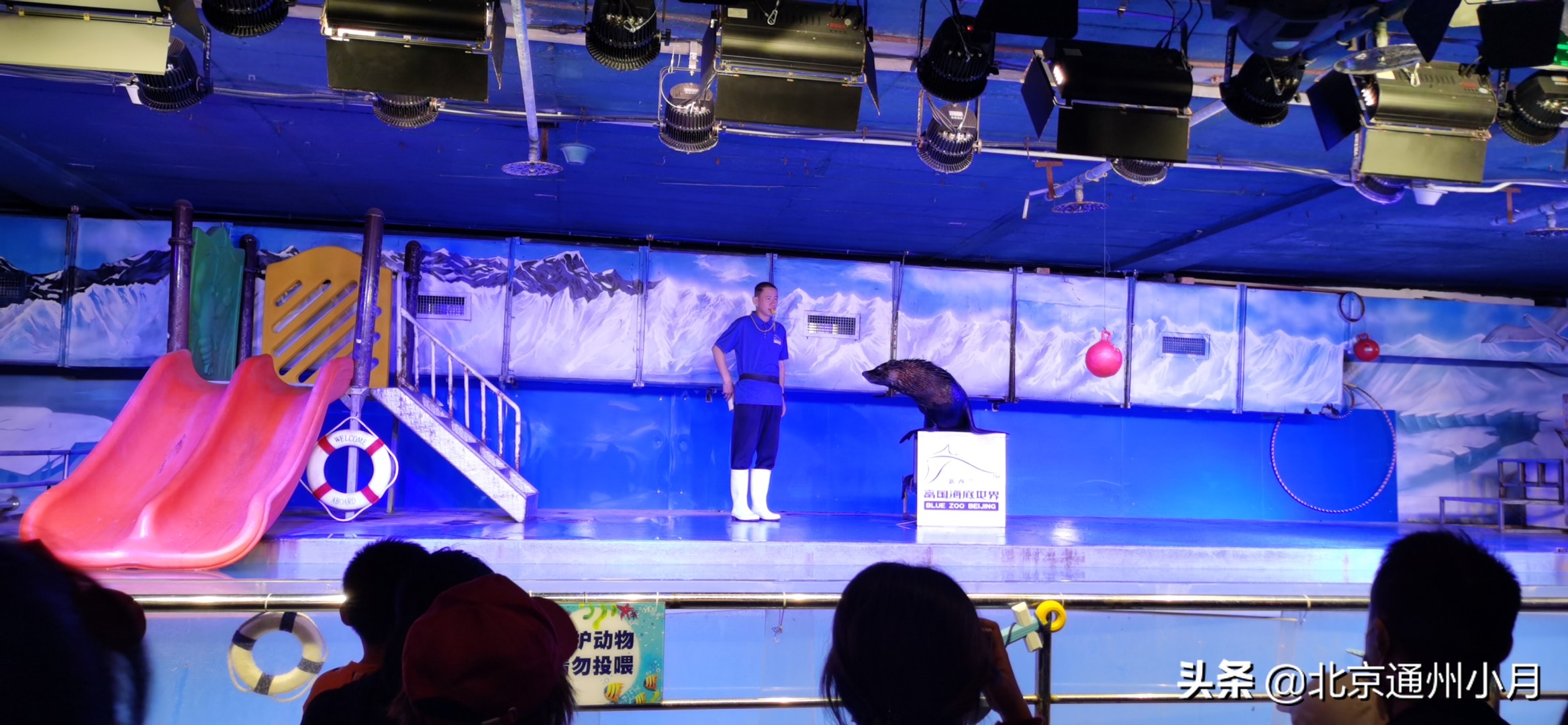 北京海底世界游览时间表,北京海底世界值得玩