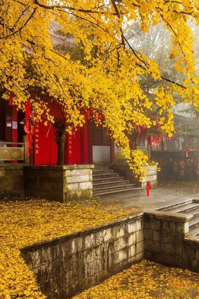 湖南环线游,湖南环线自驾游攻略