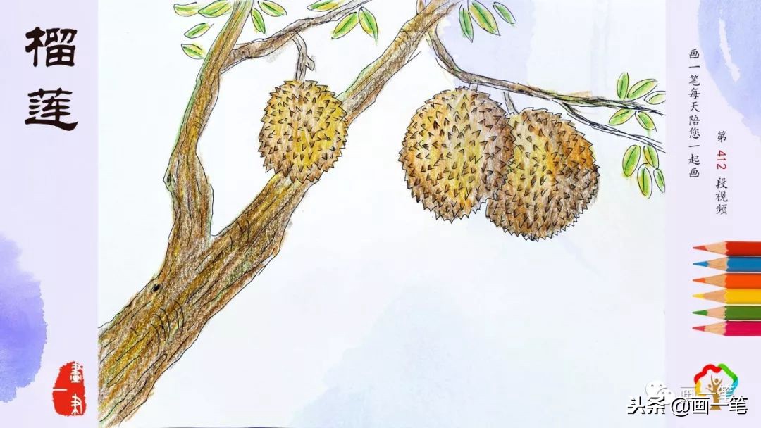 彩铅画画芒果,彩铅画画昆虫