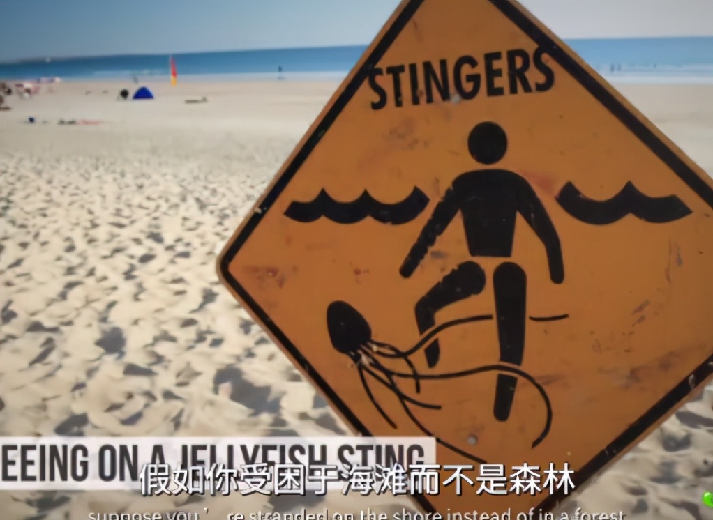 生存谣言,8个求生者监管者会怎样