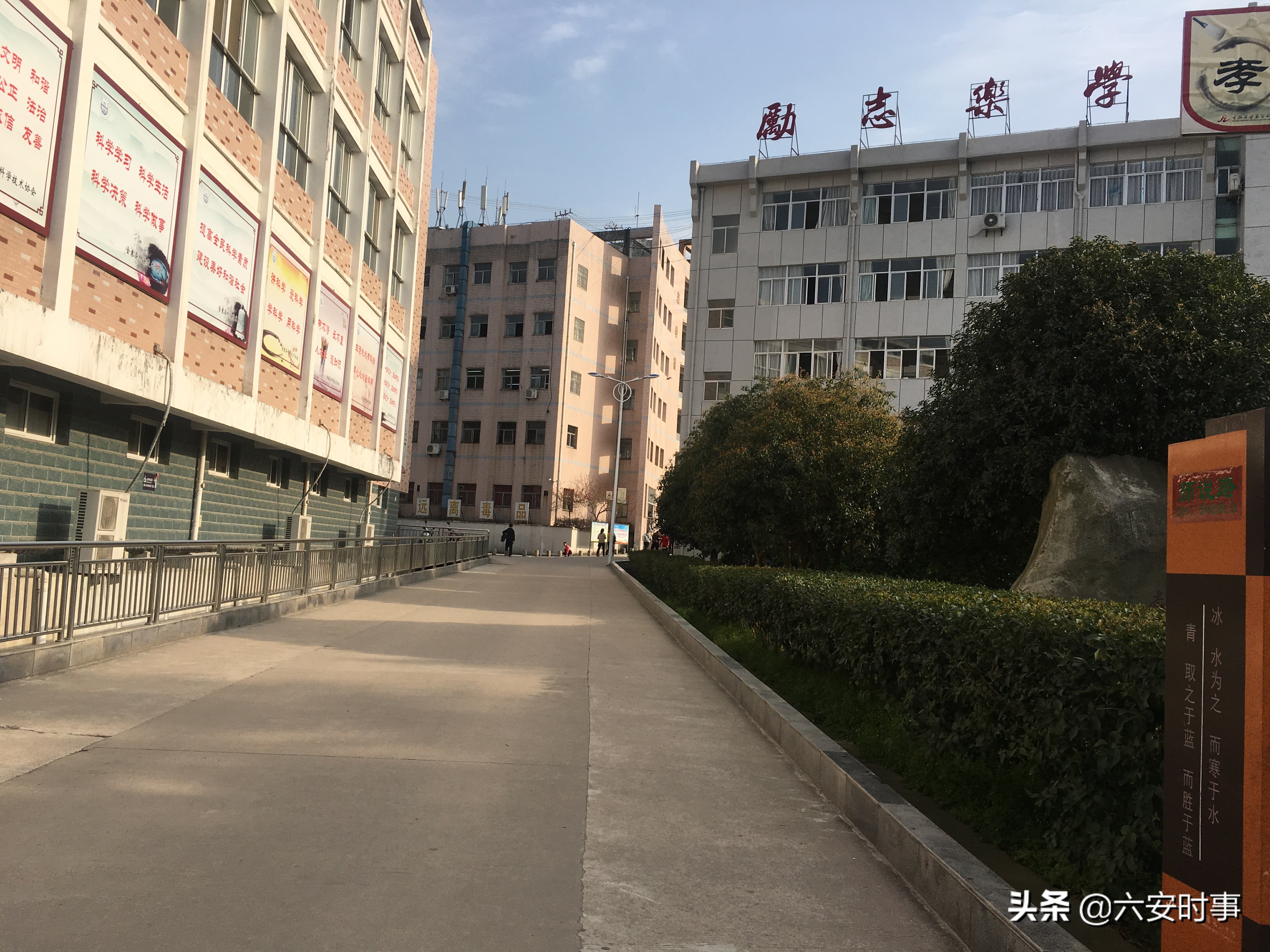 校园春意盎然,校园春意荡漾