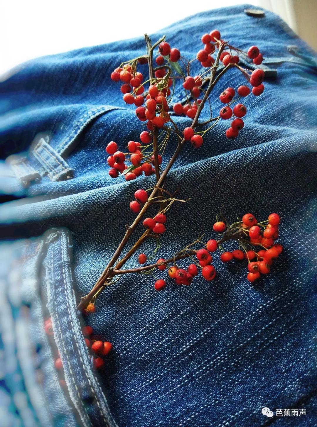 清凉初夏，做针线消散半日