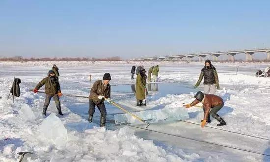 18世纪，欧美为啥要大老远给中国运冰块？