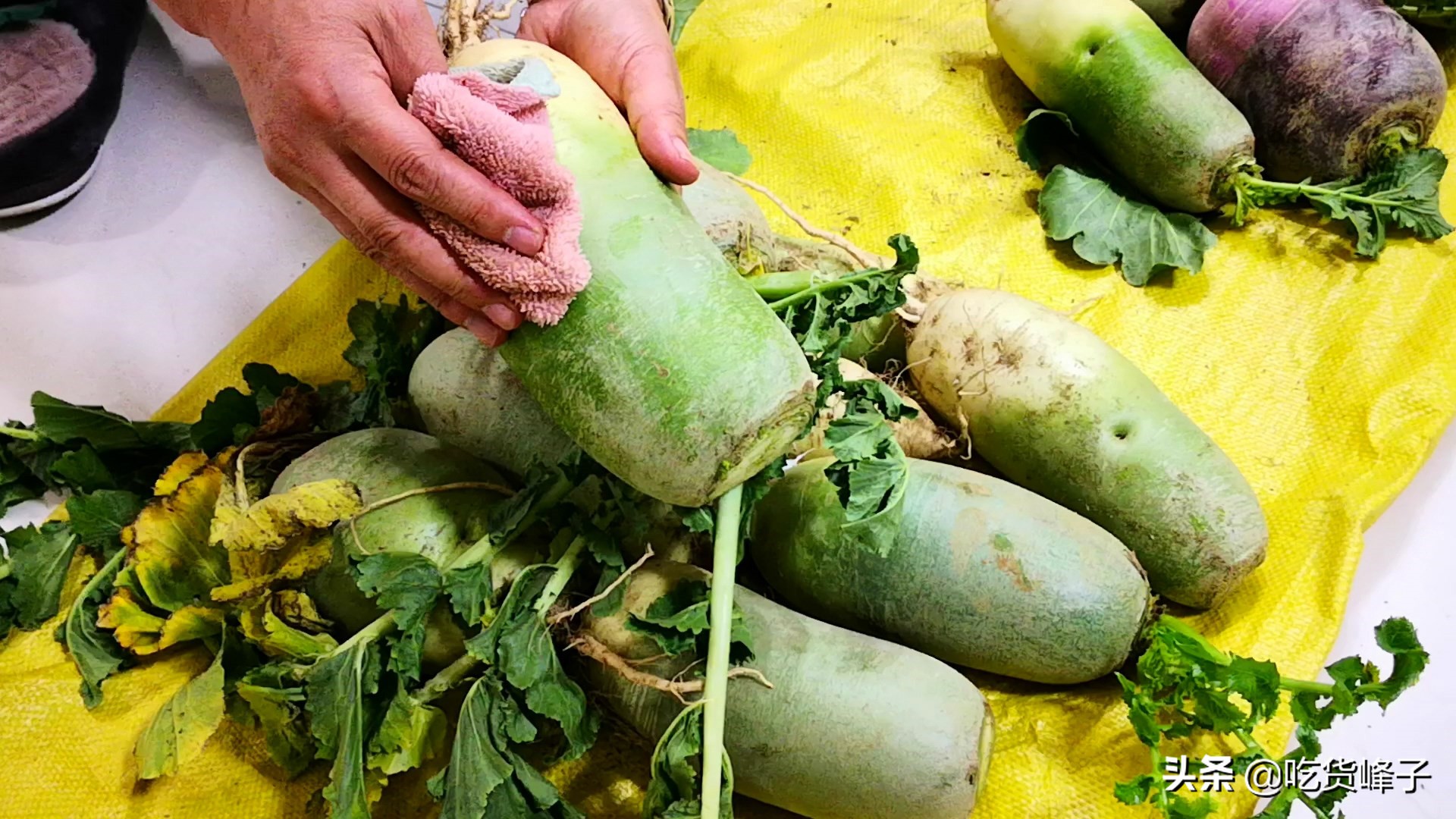 买萝卜时应该怎么选,冬天哪种萝卜不能买