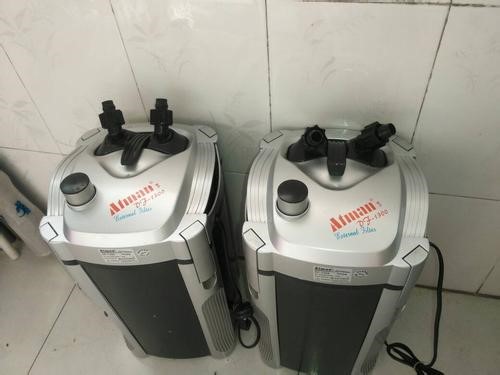 教你养金鱼不做杀手,自己养金鱼是要有耐心