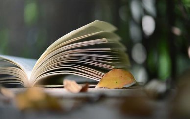 零基础学习新概念英语全册,新概念英语学习资料下载