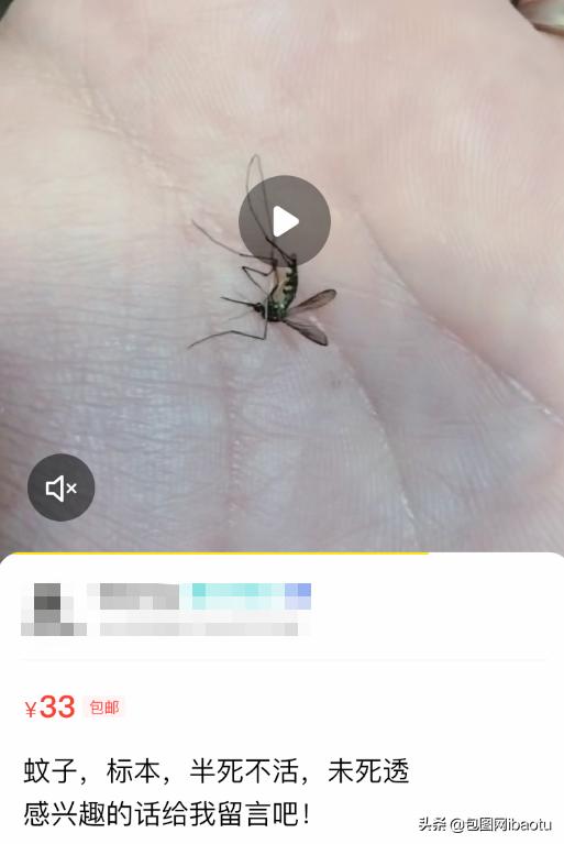 “抽过的烟头”、“半死不活的蚊子”,这些奇葩商品刷新网友三观