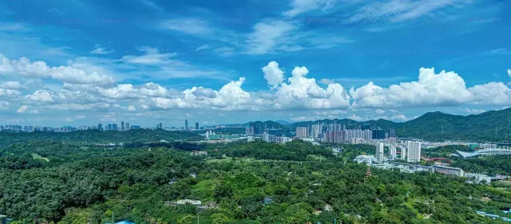 深圳华侨城媲美深圳湾一号,三大战略四大目标