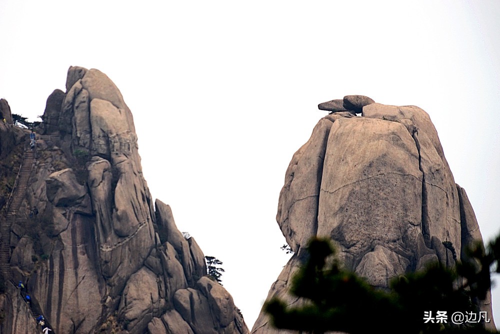 黄山迎客松是真树还是假树,黄山迎客松直播