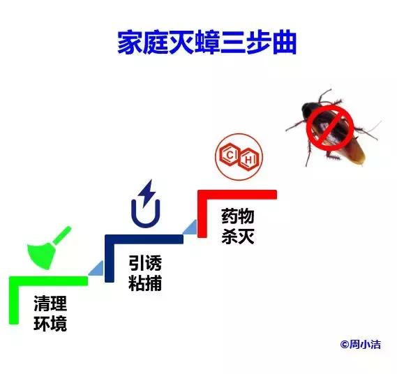 最简单有效的家用灭蟑螂的方法,小强专业灭蟑螂白蚁